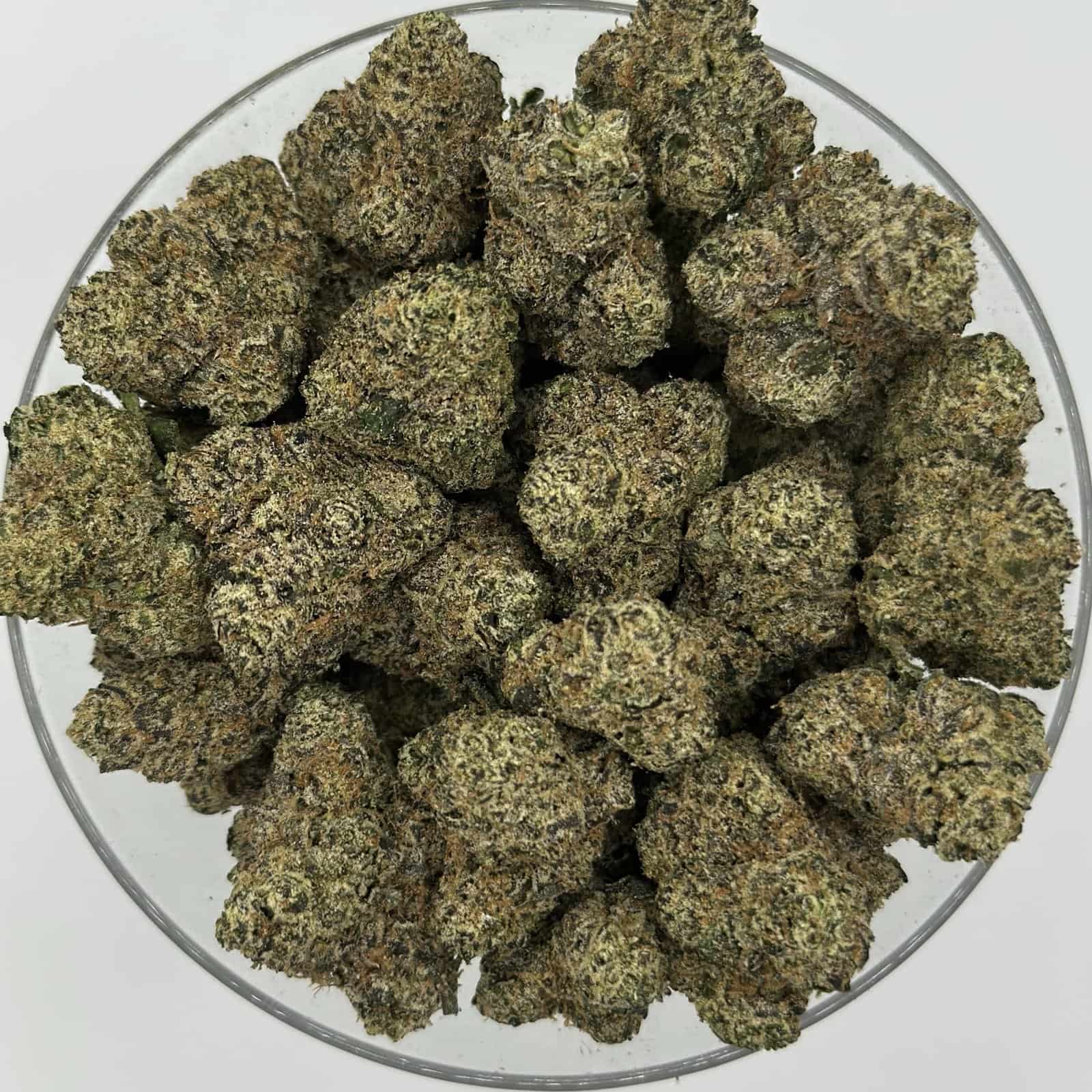 lemon cherry gelato 4oz