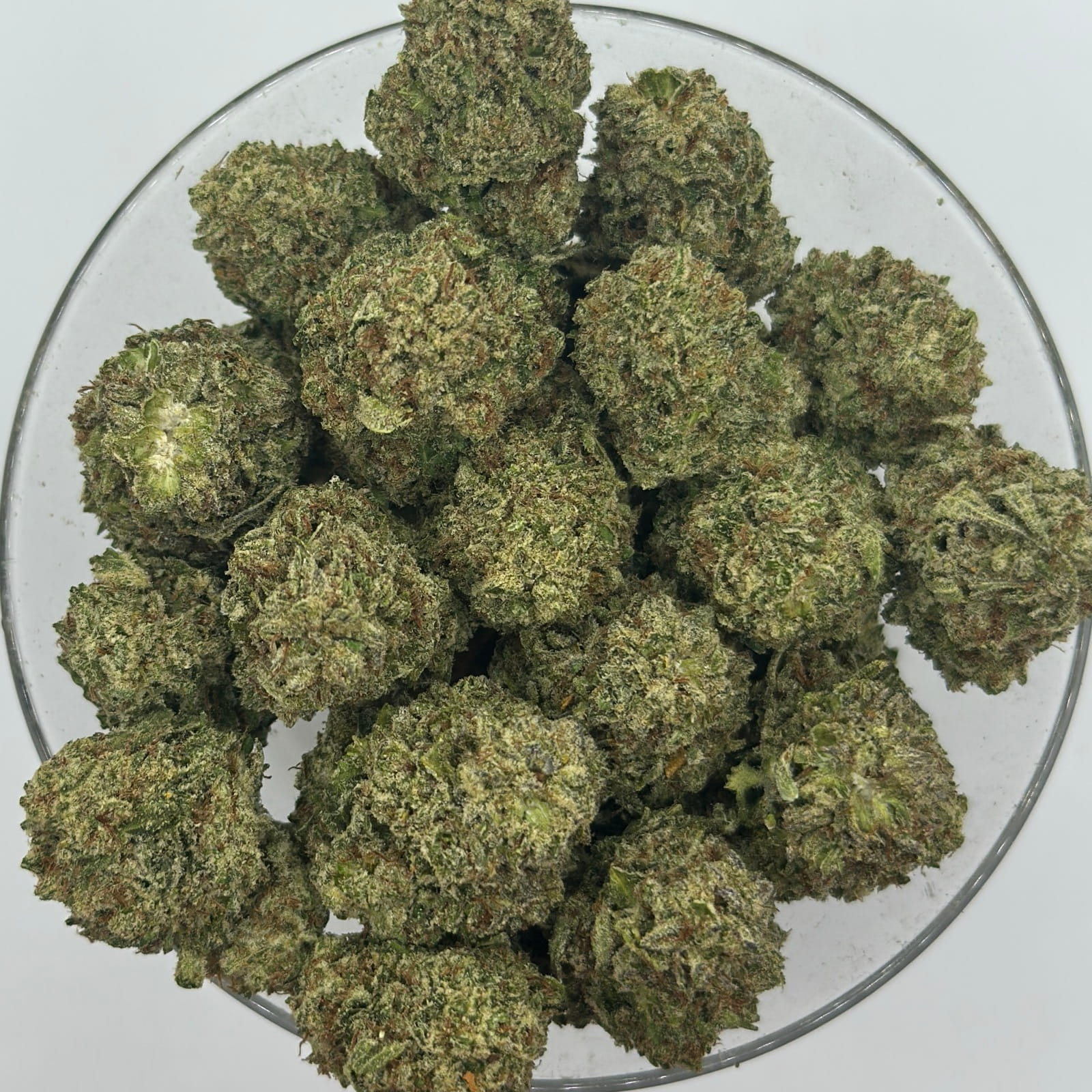 mega glue 4oz