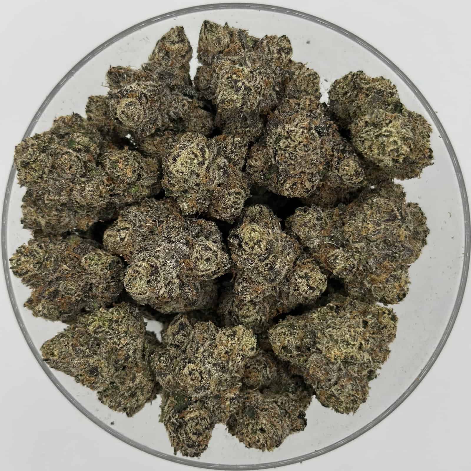 pink gelato 4oz