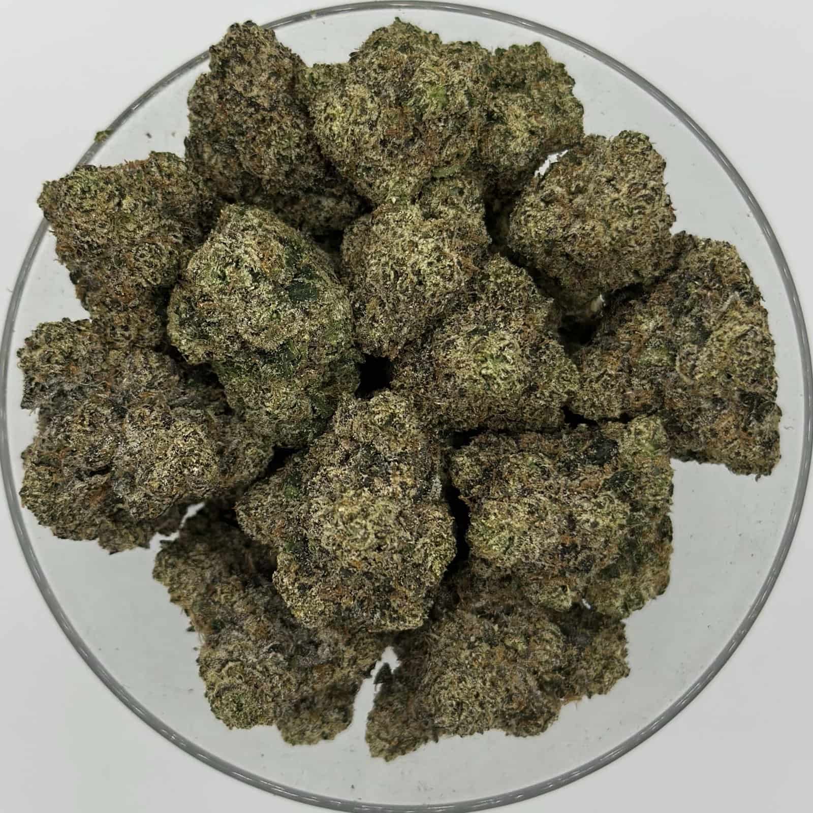 white cherry gelato